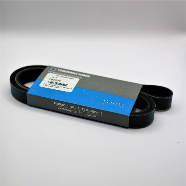 OEM Genuine Thermo King Precedent Belt